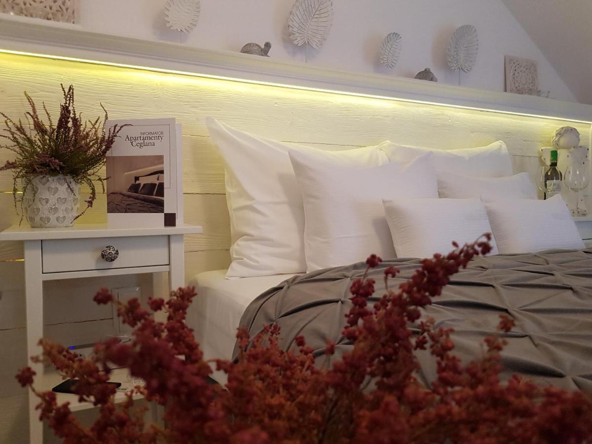 Spa Love Ceglana 1 A Sauna,,Jaccuzi Dla Dwojga Na Wylacznosc Ζιελόνα Γκόρα Εξωτερικό φωτογραφία